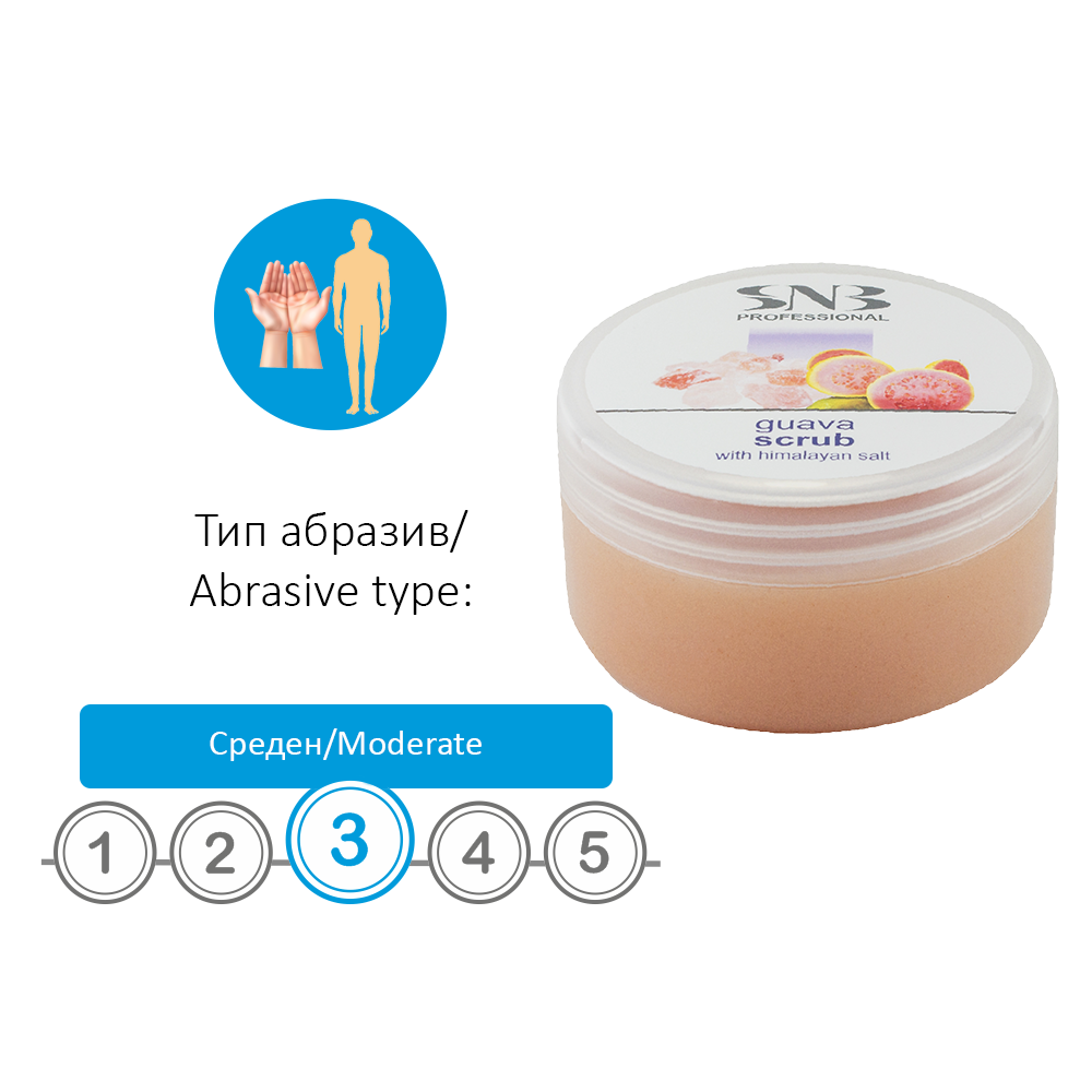 mpsr20-scale.png mpsr20-scale.png